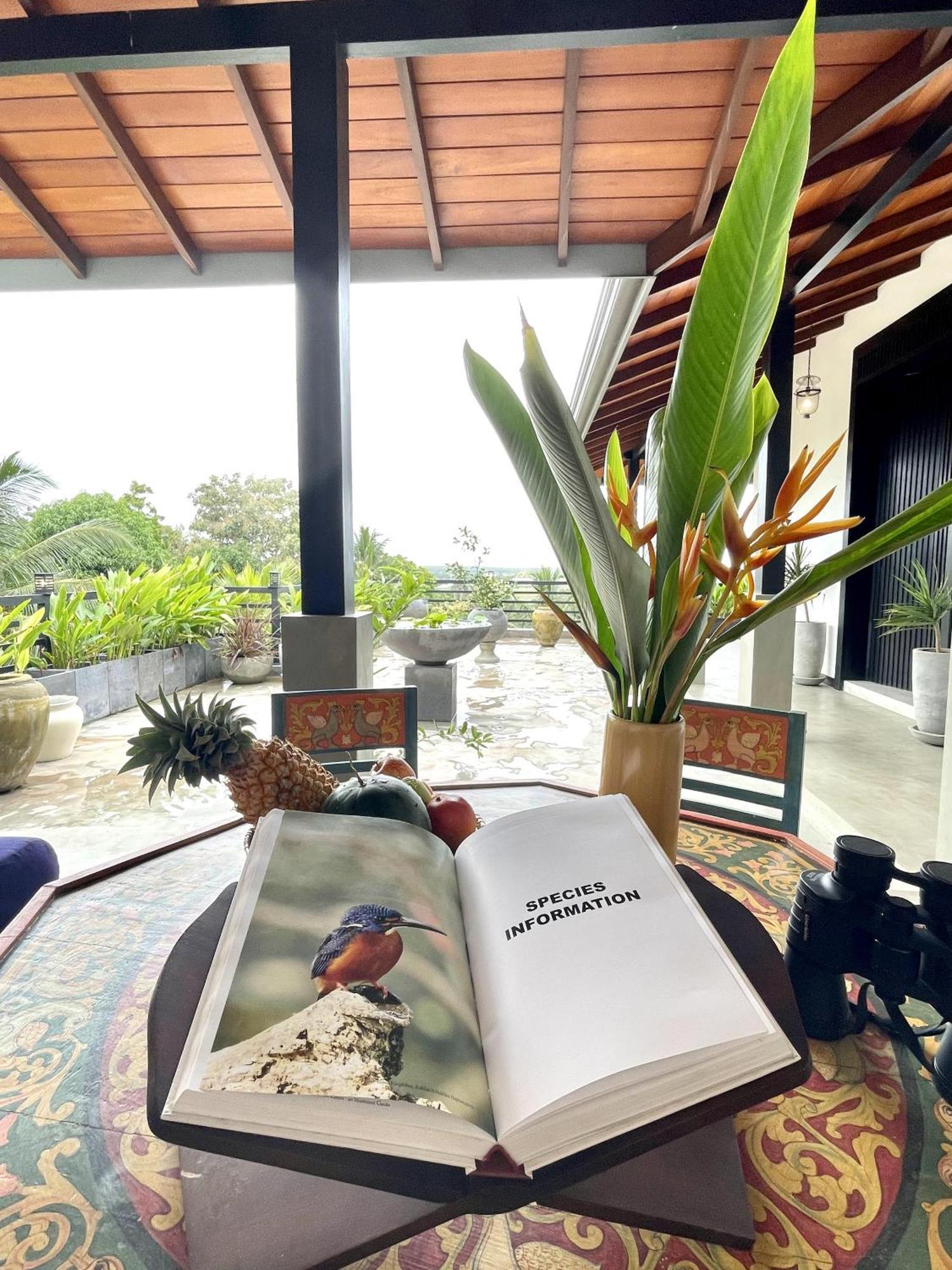 D' Art Villa Retreat And Spa Tangalle Exteriör bild